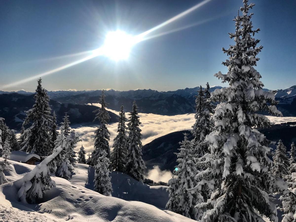 Landhaus Bergner Alm Фуш-ан-дер-Гросглокнерштрассе Экстерьер фото
