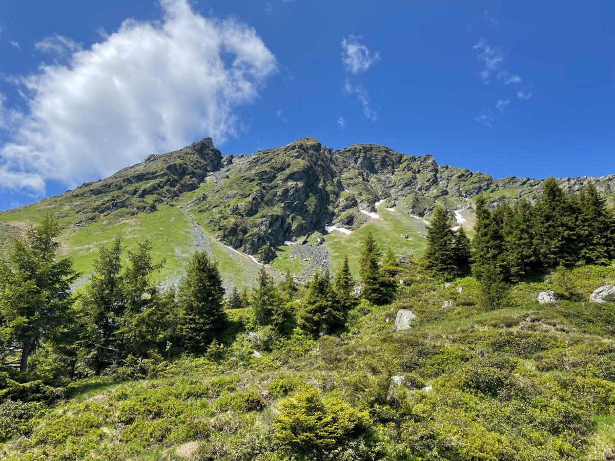 Landhaus Bergner Alm Фуш-ан-дер-Гросглокнерштрассе Экстерьер фото