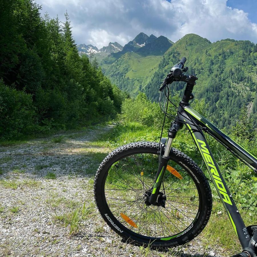 Landhaus Bergner Alm Фуш-ан-дер-Гросглокнерштрассе Экстерьер фото