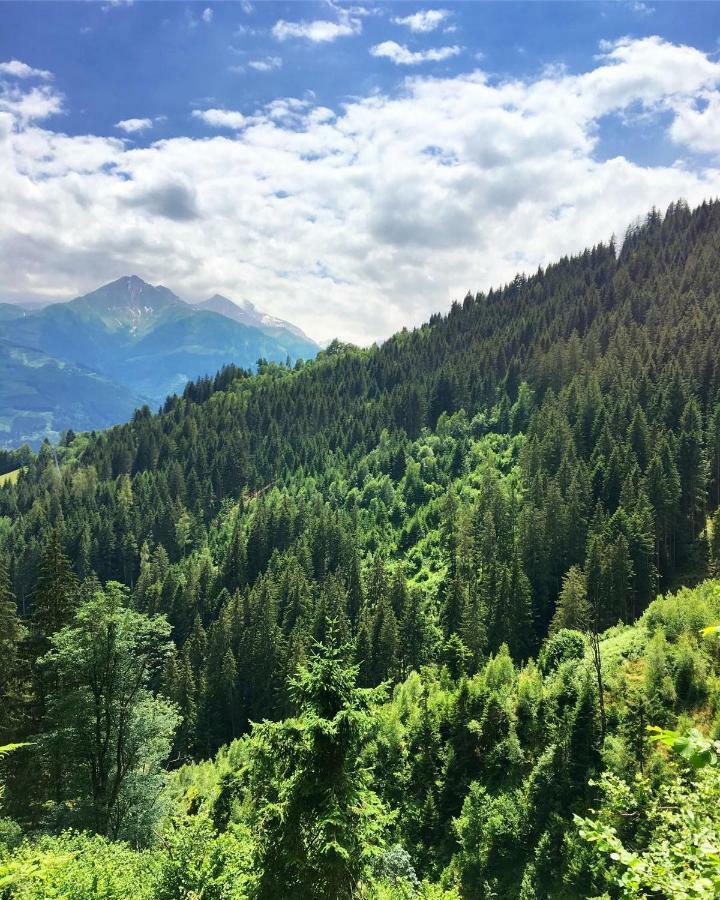 Landhaus Bergner Alm Фуш-ан-дер-Гросглокнерштрассе Экстерьер фото